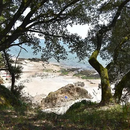 Cosy Centre-ville, Proche Gare Et *